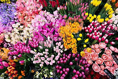 NS™时尚换装＆社交游戏 《时尚造梦》免费更新第九弹 将于 8 月 8 日上线